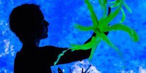 mostrarium_credit_pierre-gondard_03-1