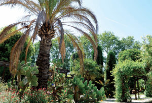 Jardin Botanique Borely Marseille