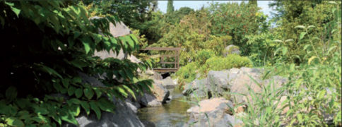 Visites et ateliers au Jardin Botanique du Parc Borély Visites et ateliers au Jardin Botanique du Parc Borély