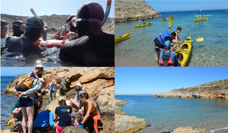 Fête de la Nature à Marseille Palmes, kayak et yeux grands ouverts !