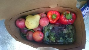 Potager city