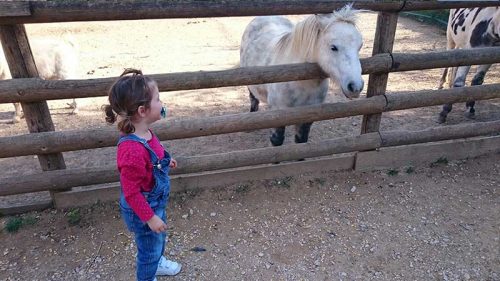 10 fermes pédagogiques à Marseille fermes pédagogiques marseille
