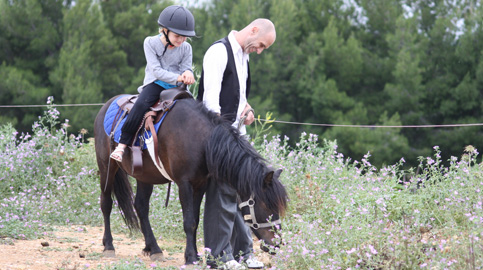Centres équestres : où faire du poney à Marseille ? Les écuries de Palama à Marseille