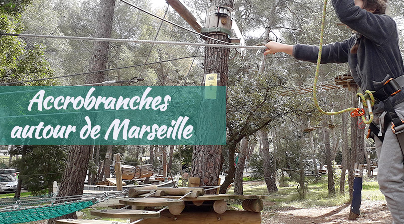 Activité sportive : faire de l'accrobranche en famille