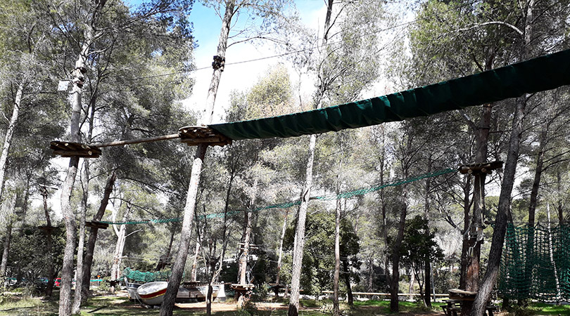 Cassis Forest