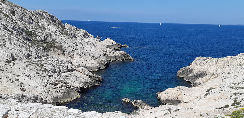 Découvrir les calanques de Marseille avec des enfants Découvrir les calanques sur les îles du frioul