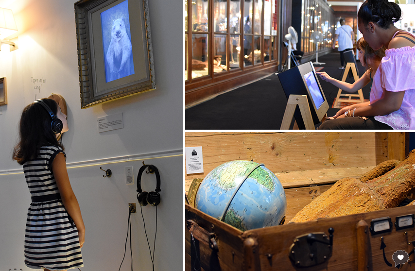 Muséonérique, le réveil des collections