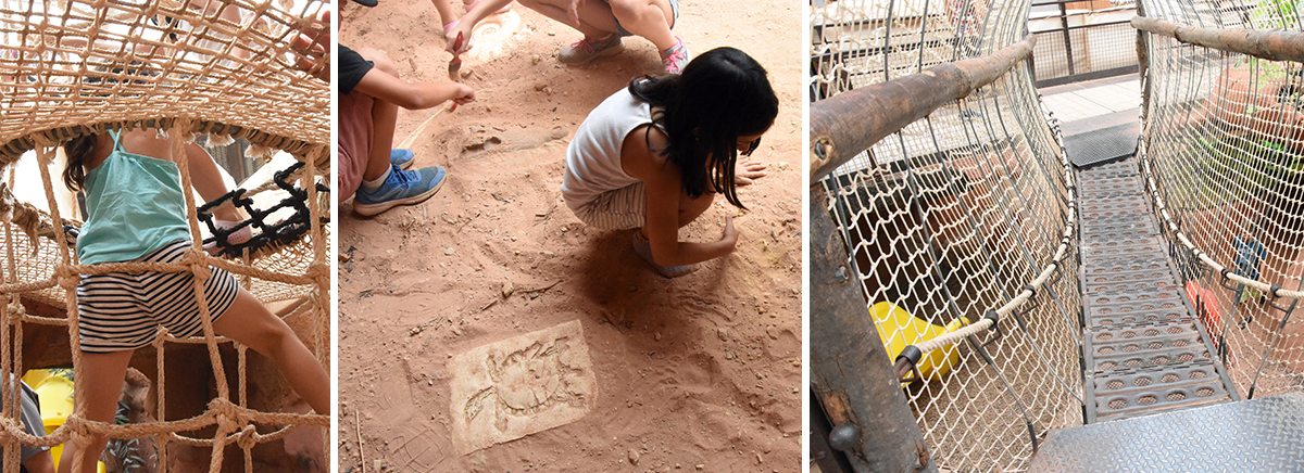 Jeux enfants la ferme aux crocodiles