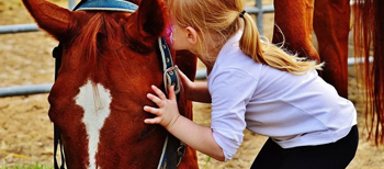 Les Estivales de Pont de Vivaux