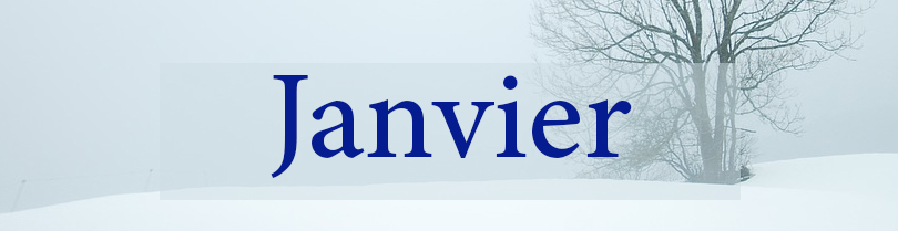 Festivals et événements pour les enfants : les temps forts de l'année à Marseille Festival en famille à Marseille en janvier