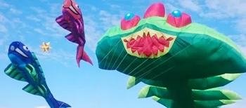 Fete du vent Marseille, festival en septembre