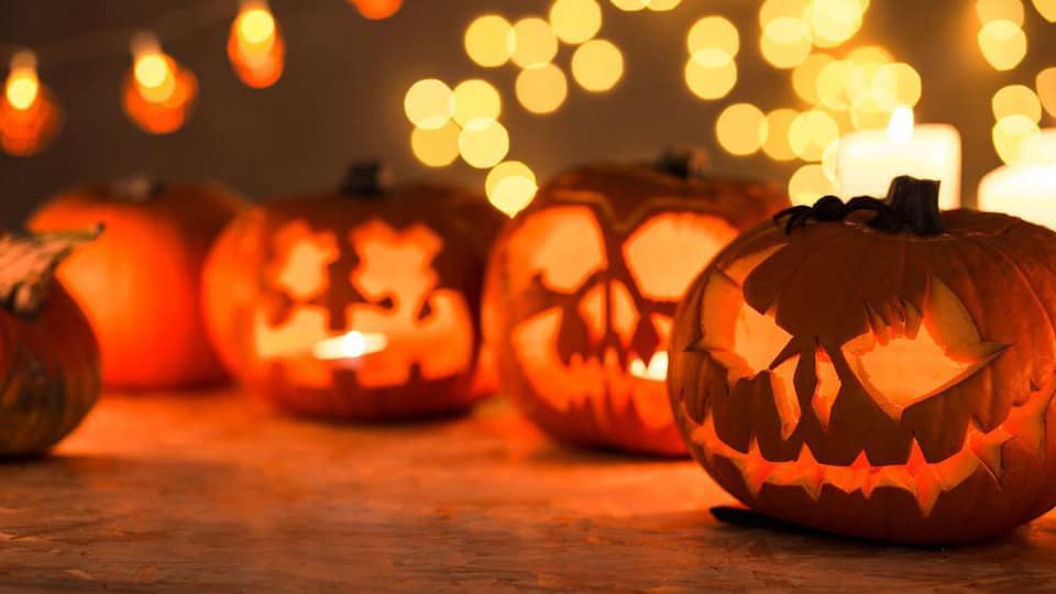 Où fêter Halloween à Marseille ? Halloween à Animo Parc à Fuveau