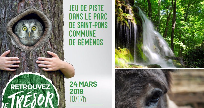 Découvrir la forêt autrement à l'occasion de la Journée Internationale des forêts Découvrir la forêt autrement à l'occasion de la Journée Internationale des forêts