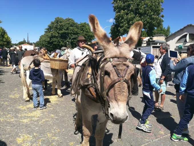 Aubagne la Belle époque, retour en images