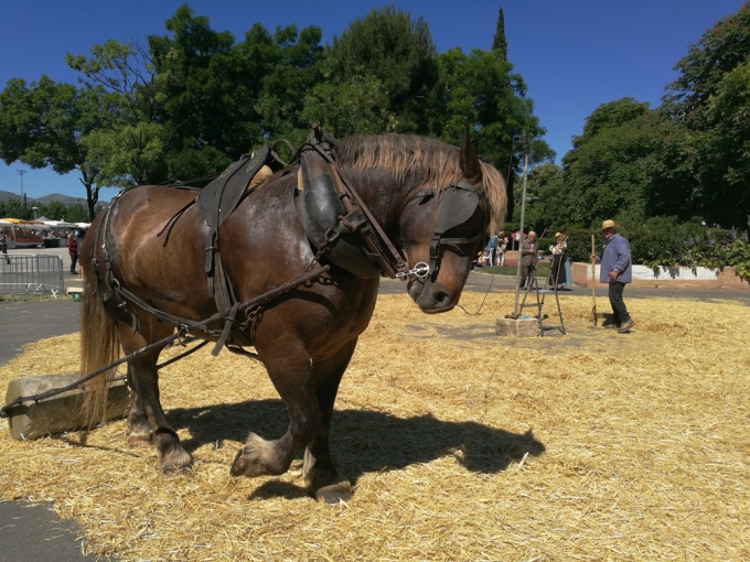 Aubagne la Belle époque, retour en images