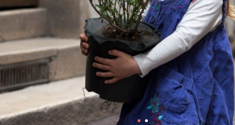 Les 48h de l'agriculture Urbaine à Marseille 48h, rue venture