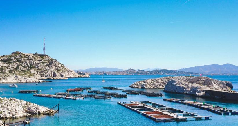 Visiter le Frioul, l'île de Pomègues