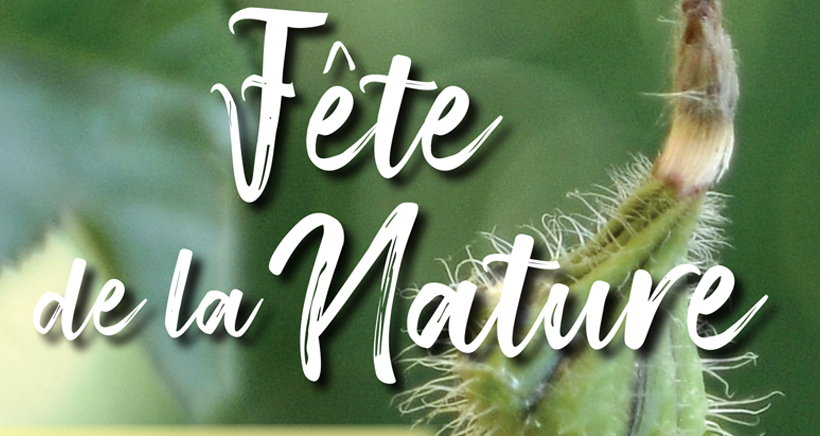 Fête de la Nature au Parc Saint Mitre à Aix Fête de la Nature à Aix en Provence