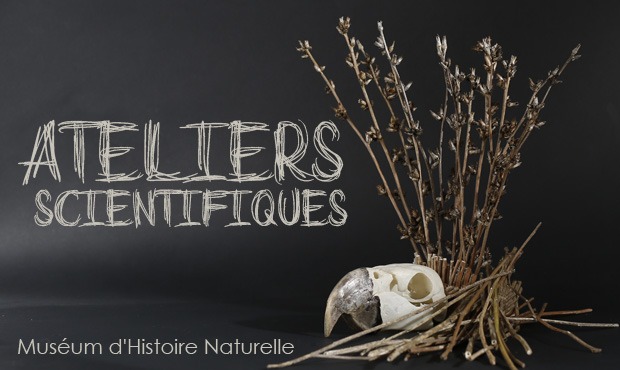 Des ateliers avec le Muséum d'Histoire Naturelle d'Aix en Provence Muséum d’Histoire Naturelle d’Aix en Provence, pendant les vacances