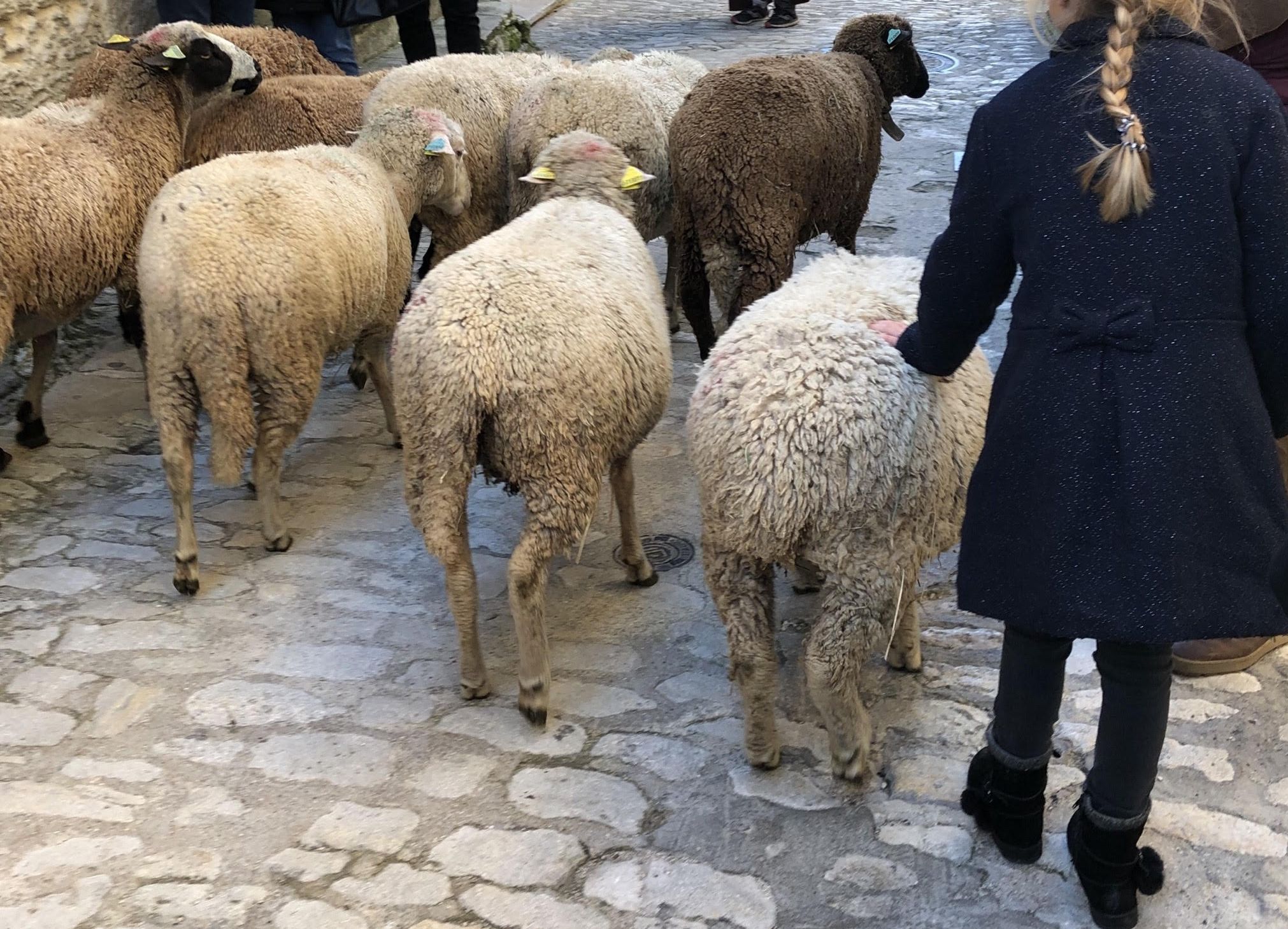 Escapade en famille: Noël aux Baux de Provence Bergerie de Noël aux Baux de provence