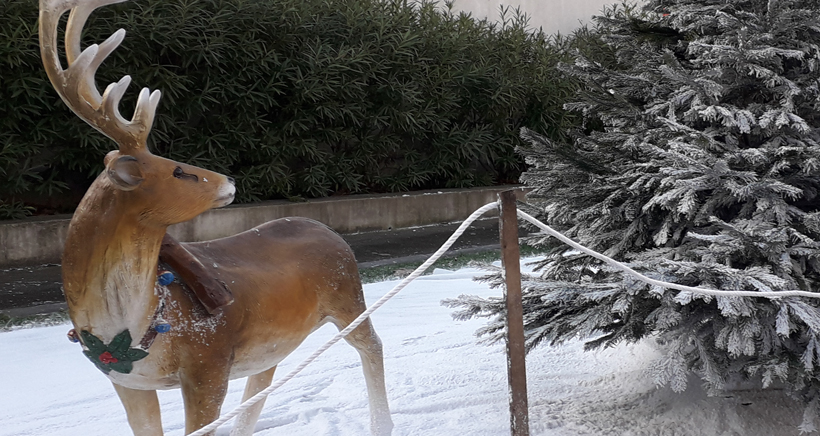 Animations de Noël dans le 7ème Animations de Noël dans le 7ème