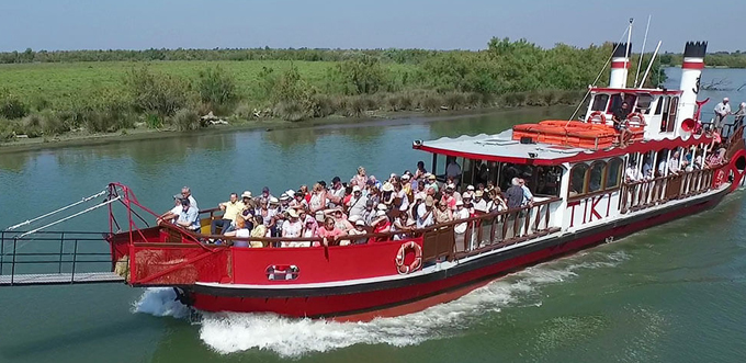 Découvrir la Camargue en famille Découvrir la Camargue en famille