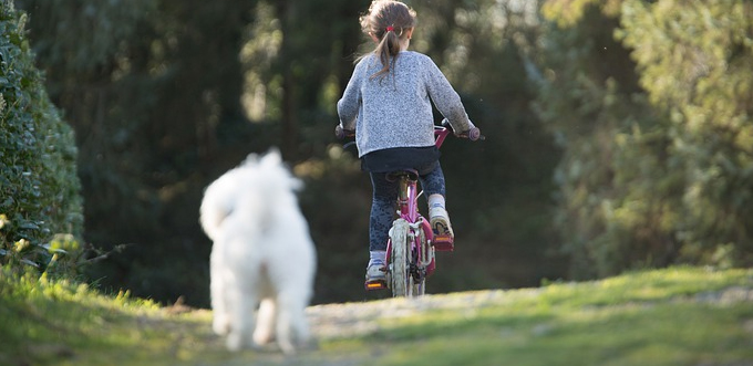 Découvrir la Camargue en famille Balade à vélo en camargue
