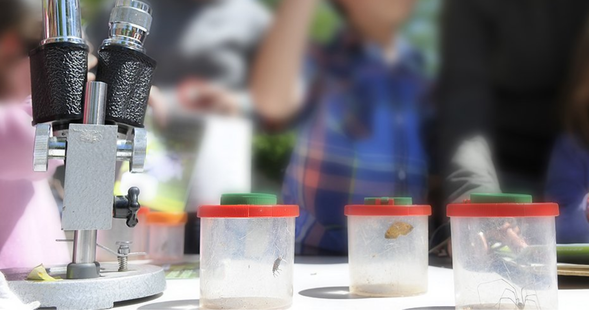 Muséum d'histoire Naturelle à Aix en Provence