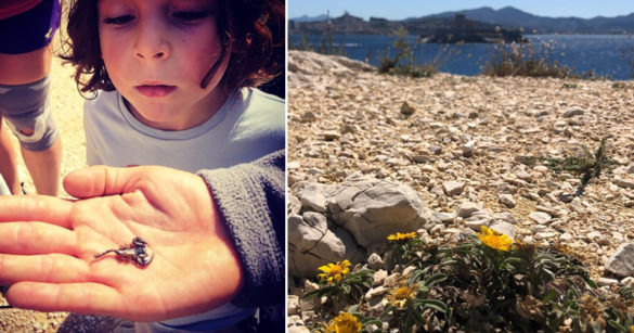 Balade nature en famille marseille