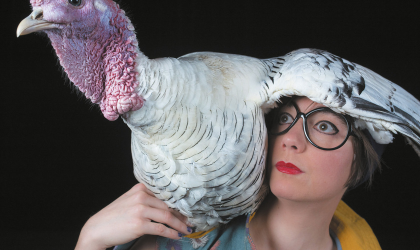 Voler dans les plumes