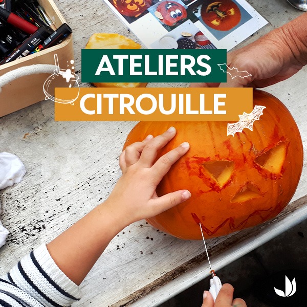 Ateliers citrouille