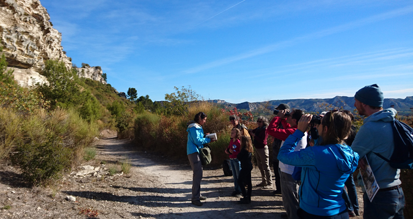 Balade d’observation, les oiseaux seigneurs des falaises