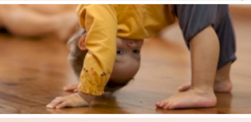 Eveil à la danse -Rencontre des bébés danseurs -