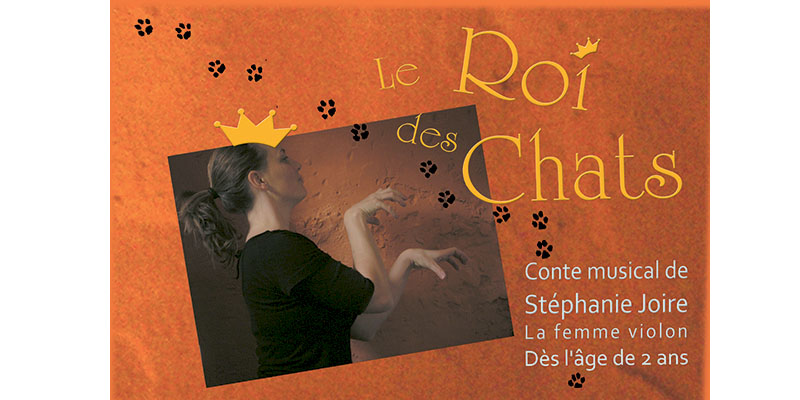 le roi des chats