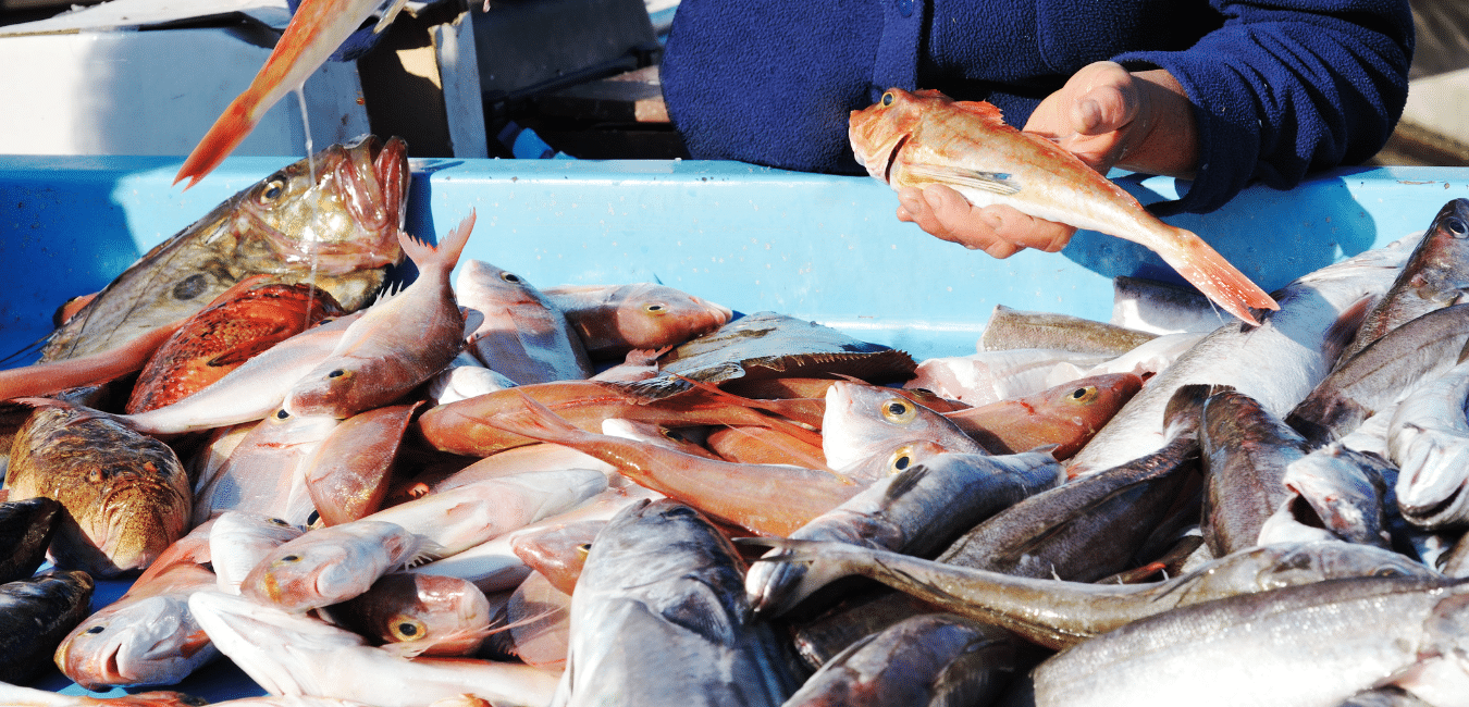 Visiter le Vieux Port à Marseille