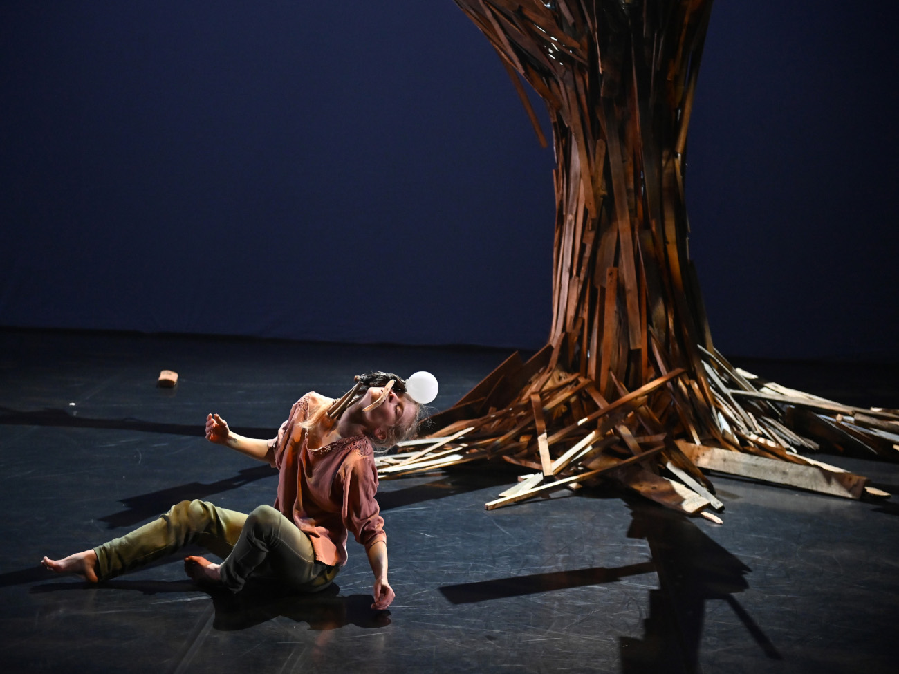 Wood 1 © Jean-Claude Carbonne.jpg