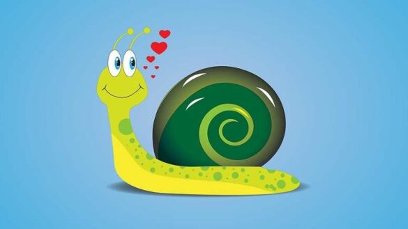 Un escargot tout chaud,