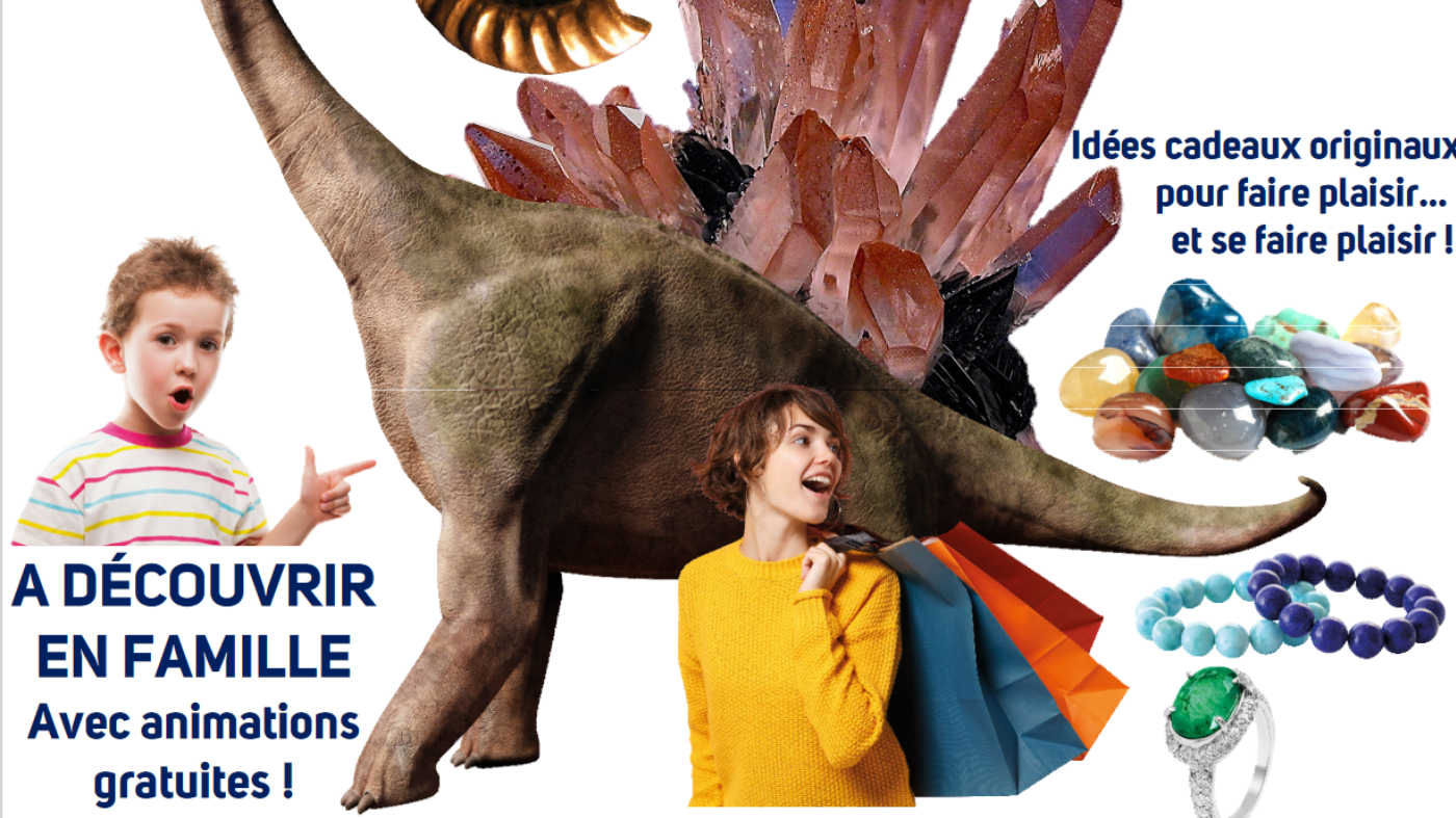 Salon Minéraux Fossiles Gemmes