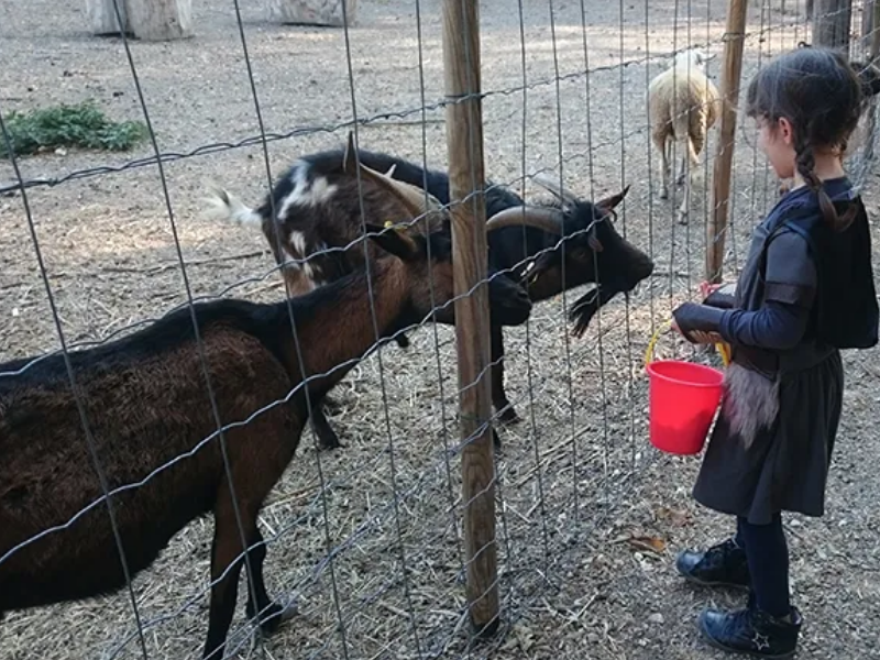 Anim'o Parc