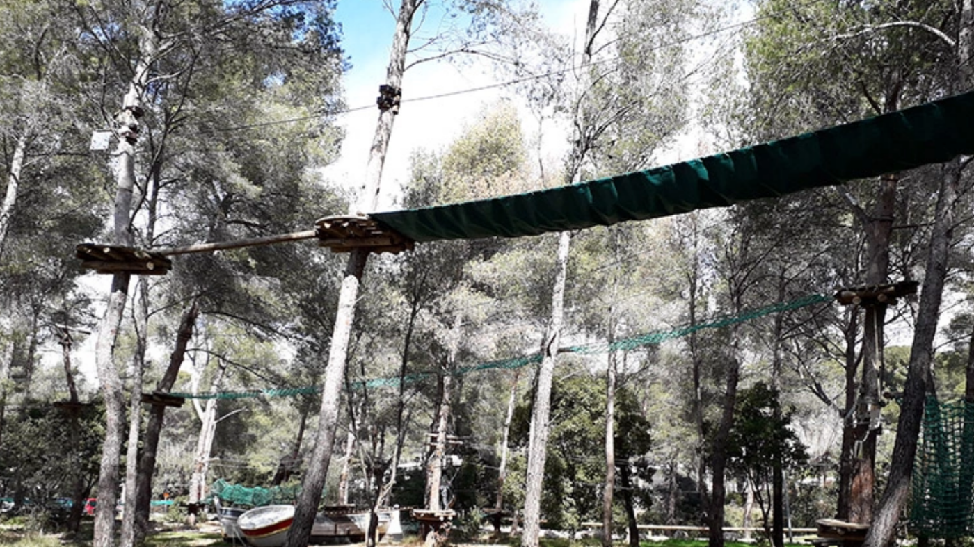 Cassis Forest