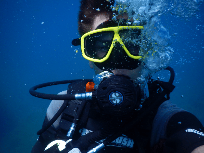 Plongée et snorkeling avec Dune