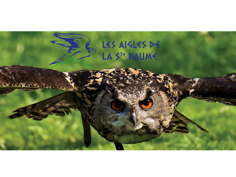 Aigles Sainte Baume
