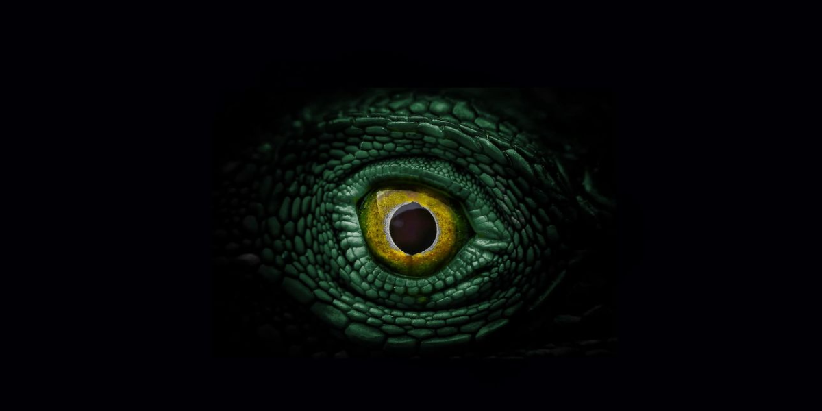 Jurassic Park et Jurassic World en plein-air à Saint-Antonin