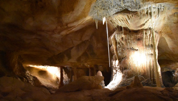 Visiter la réplique de la Grotte Cosquer à Marseille