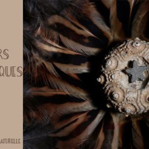 Ateliers scientifiques aix en provence