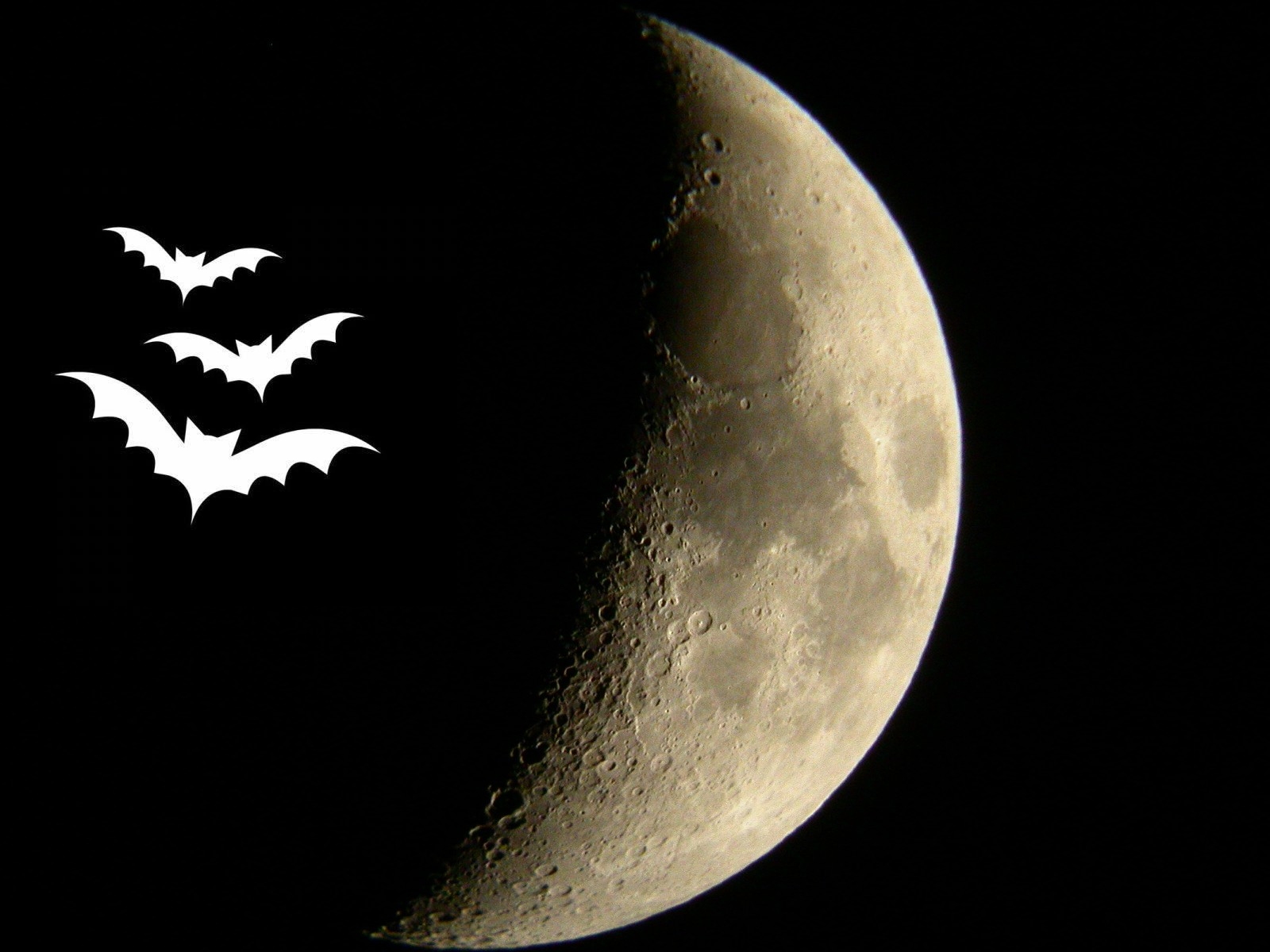 Halloween au Planétarium
