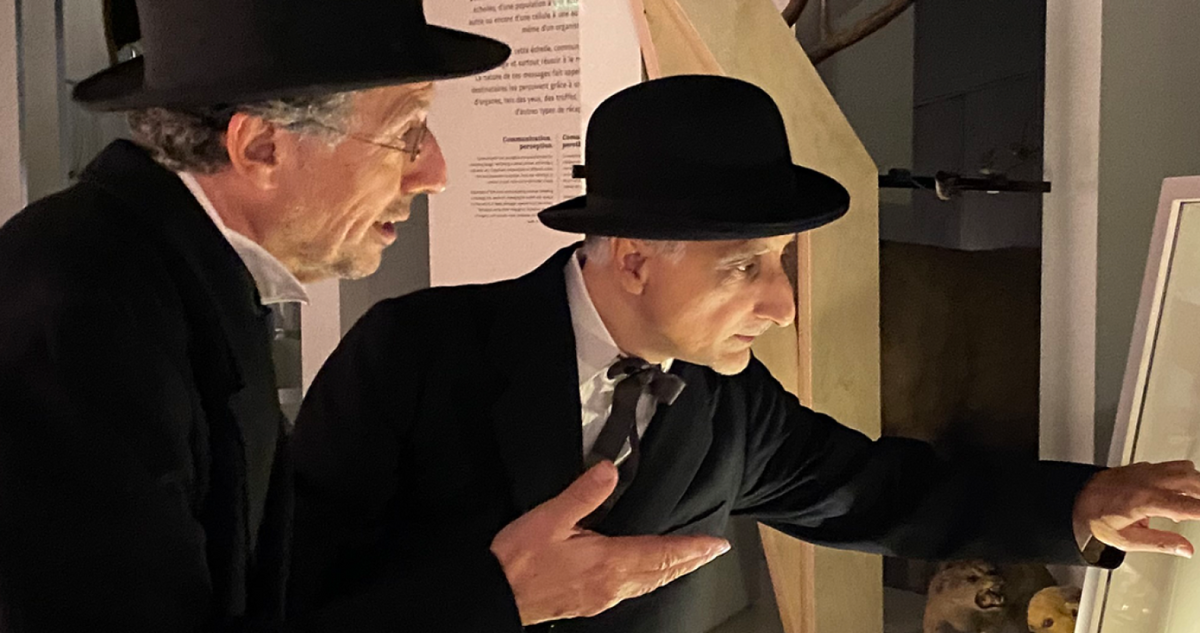 Safari Nocturne « Les Mystères du Muséum »