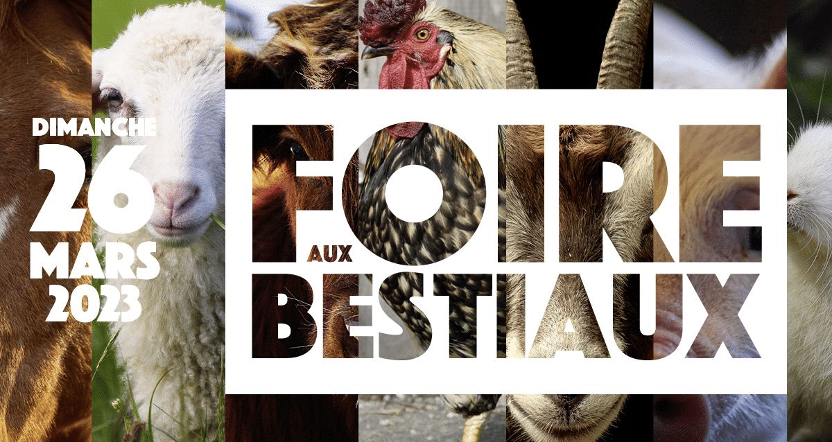 Foire aux Bestiaux
