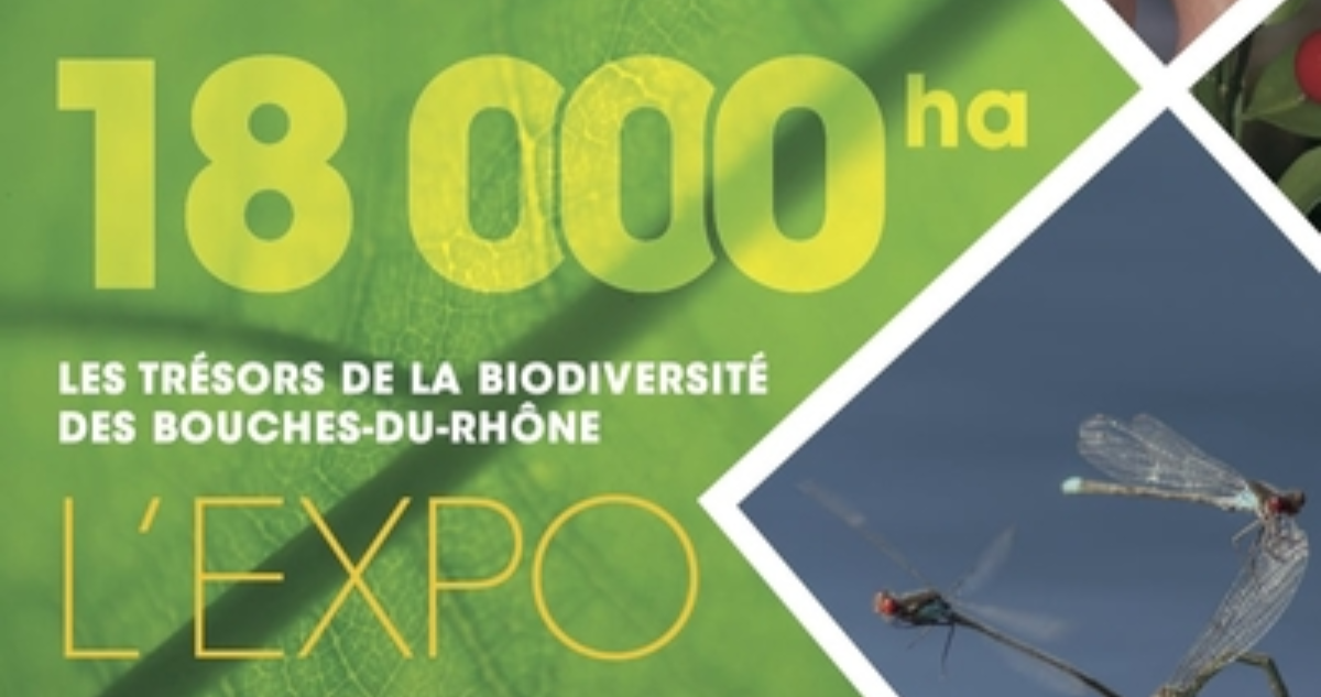 18 000 ha