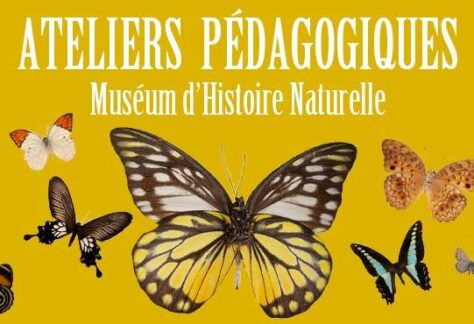 Programme des ateliers du Muséum d'Histoire Naturelle